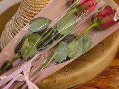 -滇香肴·云南菜蒸汽石锅鱼(云南北路店)