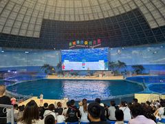 -泉城欧乐堡海洋极地世界