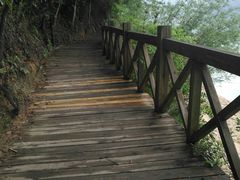 -广州市流溪河国家森林公园
