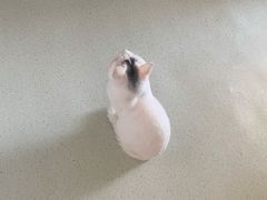 -好利来(五一广场店)