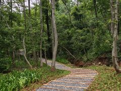 -青龙山国家森林公园