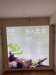 -Lumi露米·美甲美睫品质店