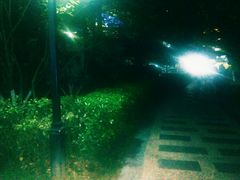 -郑和公园