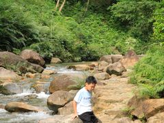 -广州白江湖森林公园