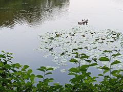 -东山湖公园