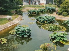 -国家植物园南园