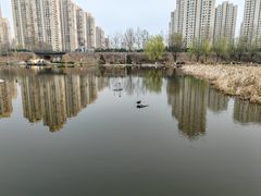 -前关湿地公园