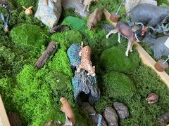 -北京周口店北京人遗址博物馆