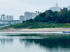 -龙聚德北京烤鸭(沙坪坝华宇A馆店)