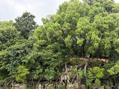 -桂林两江四湖景区