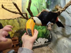 -Zoolung Zoolung动物主题公园(海信广场店)