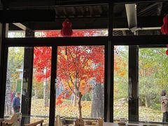 -禧宴Joyous Restaurant(禧园店)