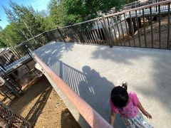 -石家庄市动物园