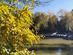 -西安市长乐公园