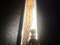 -匠子烤鱼(上邦百汇城店)