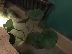 -佬麻雀·新湘菜(珠海金发购物中心店)