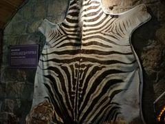 -青岛葡萄酒博物馆