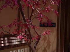 -揽季锅物会.福建黄鱼.海鲜姿造(五四路店)