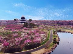 -上海海湾国家森林公园