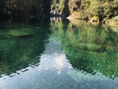 -石台牯牛降景区