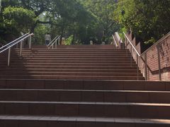 -香港大学