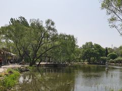 -北陵公园
