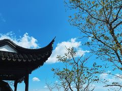 -石老人观光园