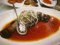 -顺峰(南二环店)