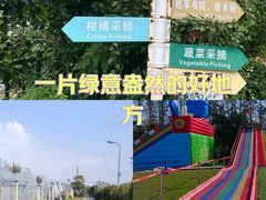 -前小桔亲子创意农场·草莓采摘·露营烧烤