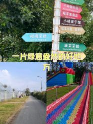 -前小桔亲子创意农场·草莓采摘·露营烧烤
