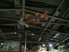 -探鱼·鲜青椒爽麻烤鱼(增城东汇城店)