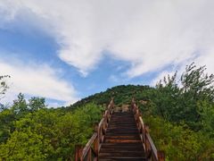 -大岭沟猕猴桃谷风景区