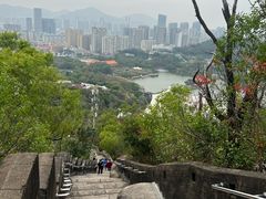 -板樟山森林公园