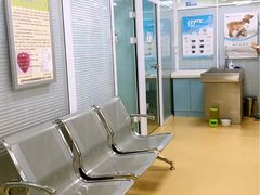 -瑞派·关忠动物医院·猫专科·犬专科(三环新城店)