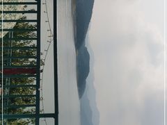-望湖烤鱼