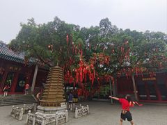 -国恩寺