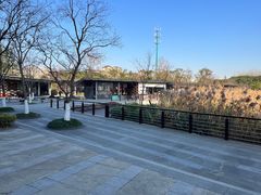 -昆山城市生态森林公园