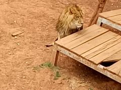 -昆明动物园