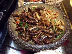 -慢丽江·云南野生菌土鸡锅(付家庄店)