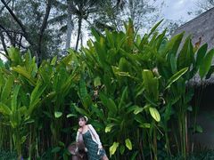 -大象粑粑造纸公园