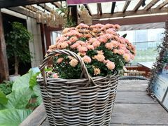 -时光乌托邦空中花园·川味·礼宴(星汇两江店)