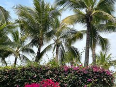 -三亚西岛海洋文化旅游区