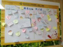 -重庆医科大学附属第一医院(本部)