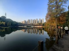 -重庆彩云湖湿地公园