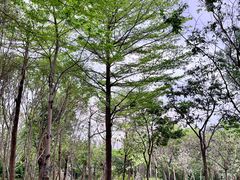 -南宁市凤岭儿童公园