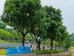 -水濂山森林公园