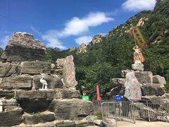 -大岭沟猕猴桃谷风景区