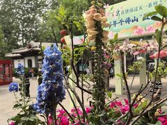 -千佛山风景名胜区