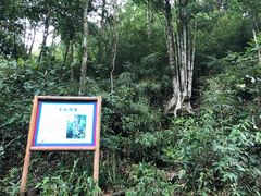 -广州市石门国家森林公园