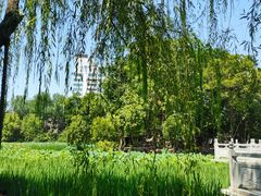 -莲湖公园